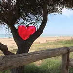 Raffaella ביביונה